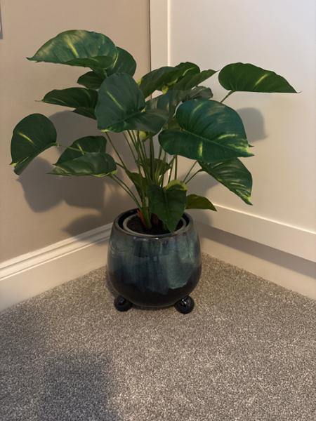 Potted Artificial Pothos Plant | Floralsilk