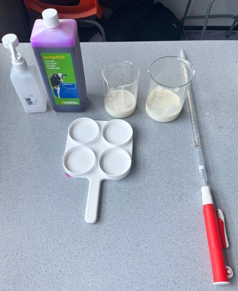 Mastitis Test Kit