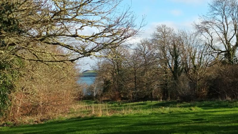 Tranquil and restful