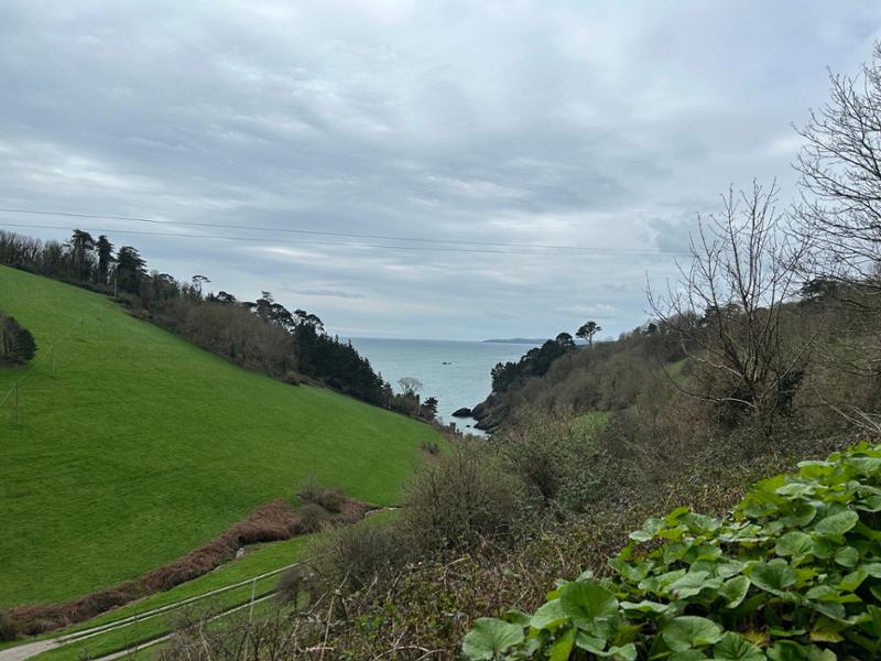 Easy to find and book the accommodation