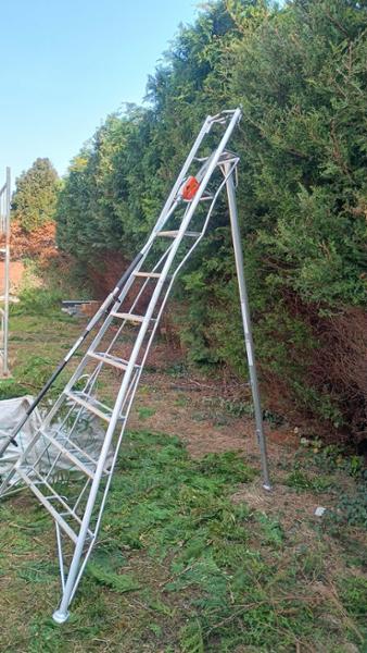 BPS 1 Leg Trade Master Tripod Ladders