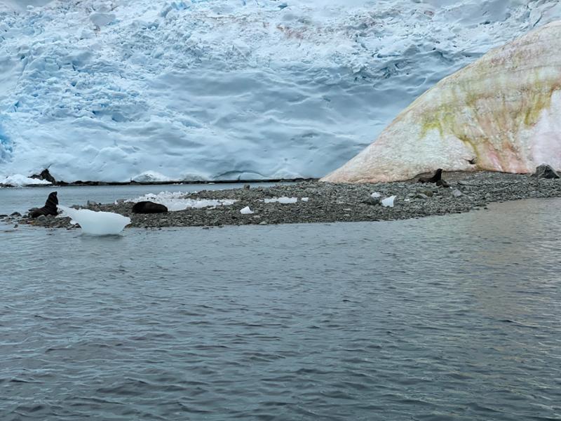 5157-Highlights of Antarctica