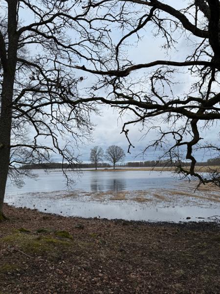 Två nätter på Toftaholm