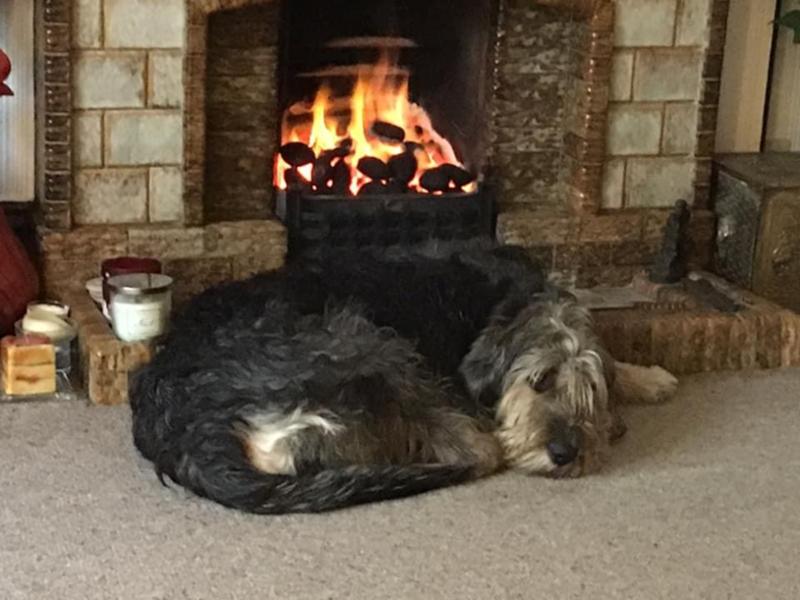 Bracken’s medication