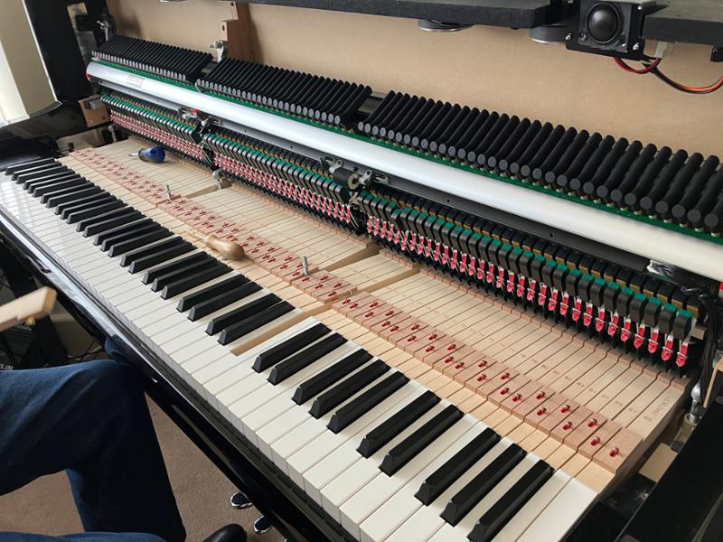 Genuine Acoustic Feel from a Digital Piano