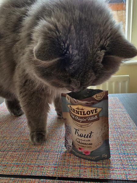 Wet Cat Food Pouch Multipack