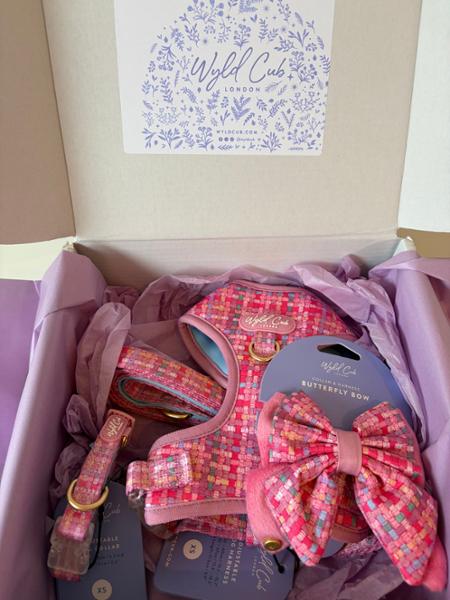 Adjustable Dog Harness: Belgravia Bonbon