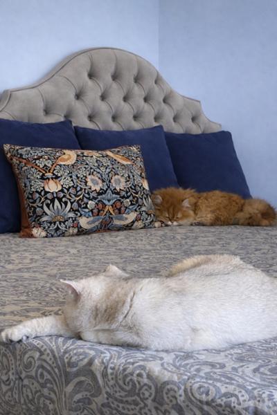 William Morris at Home Strawberry Thief Cushions