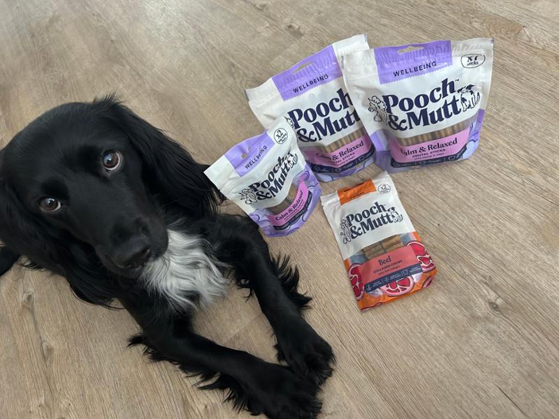 Great new chews!!