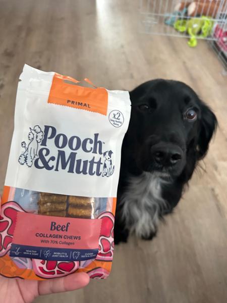 Great new chews!!
