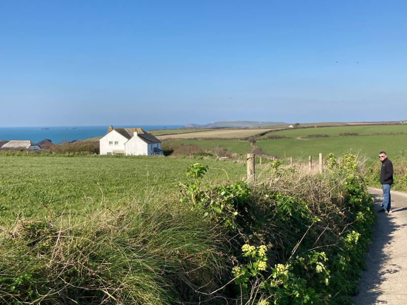 Lovely cottage in beautiful location