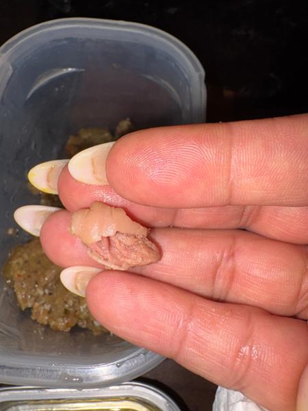 Found a pice of meat in white fish and hearing.