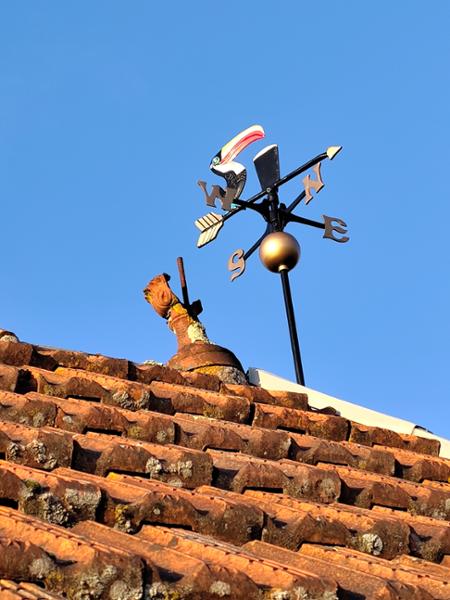 Cast Aluminium Outdoor Toucan Weathervane