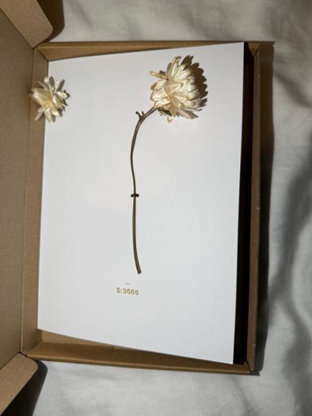 Disappointing difference from Shop photo to delivered gift