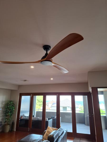 Wooden Blade fan