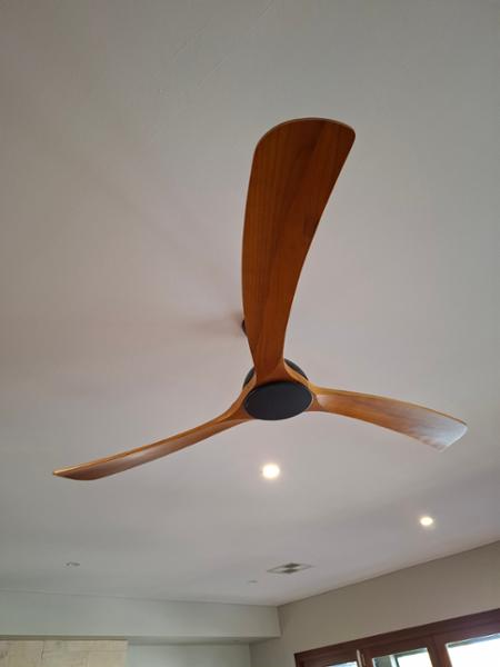 Wooden Blade fan
