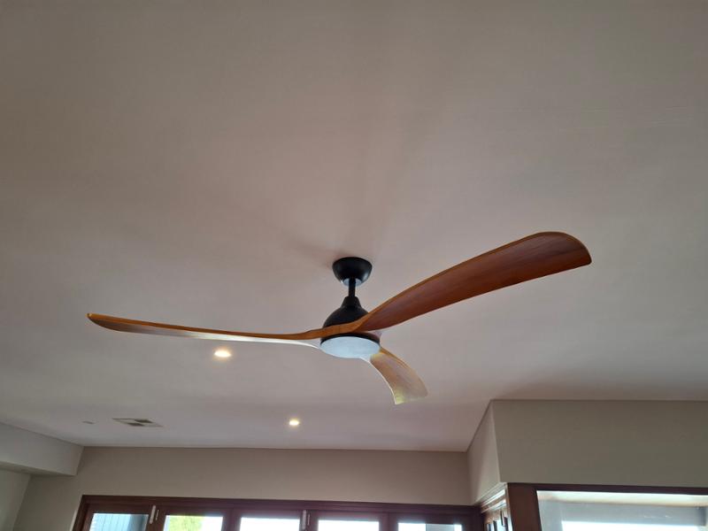 Wooden Blade fan
