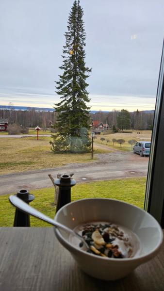 Lätt hitta roliga resmål
