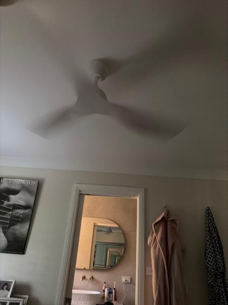 Fan - tastic
