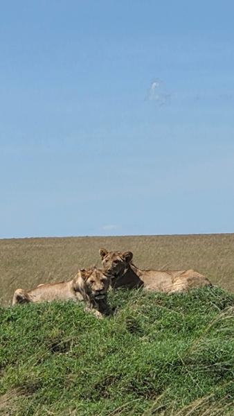 Unforgettable Kenya Adventure