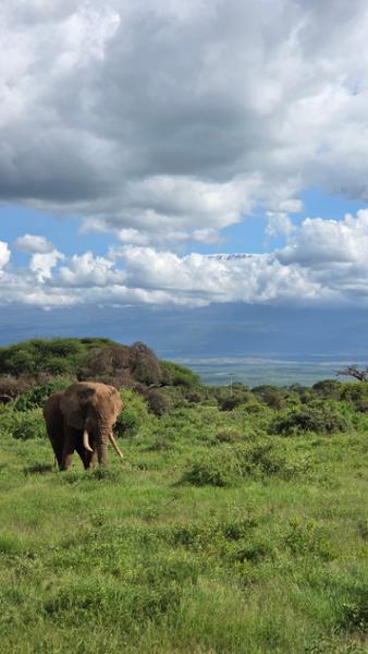 Unforgettable Kenya Adventure
