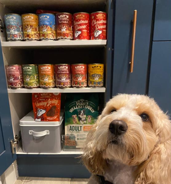 Great British Breakfast, Food for Dogs, 2400 g, from Lily's Kitchen