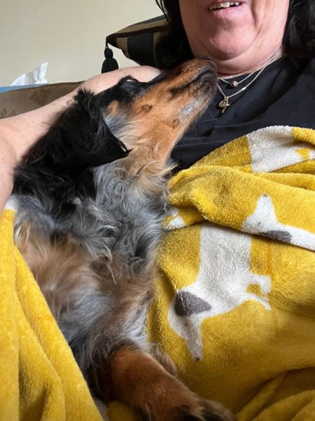 Pooch & Mutt Products
