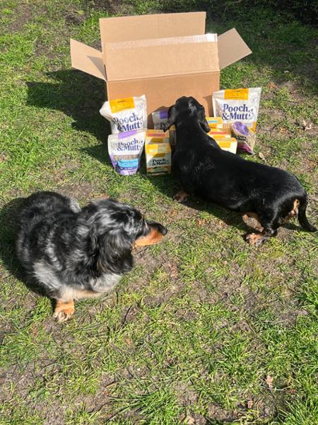Easter Treats for Dogs | 120g | Lamb & Chicken Meaty Treats | Pooch & Mutt | Grain-Free & Natural Ingredients