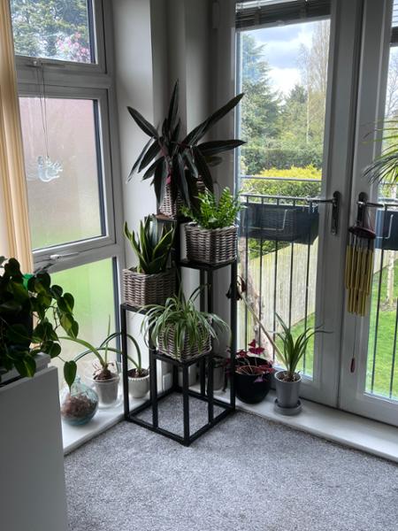 Nara 4-Tier Plant Stand Culture Vulture