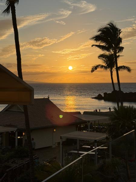 Grand Hawaiian Adventure on 04/16/2026