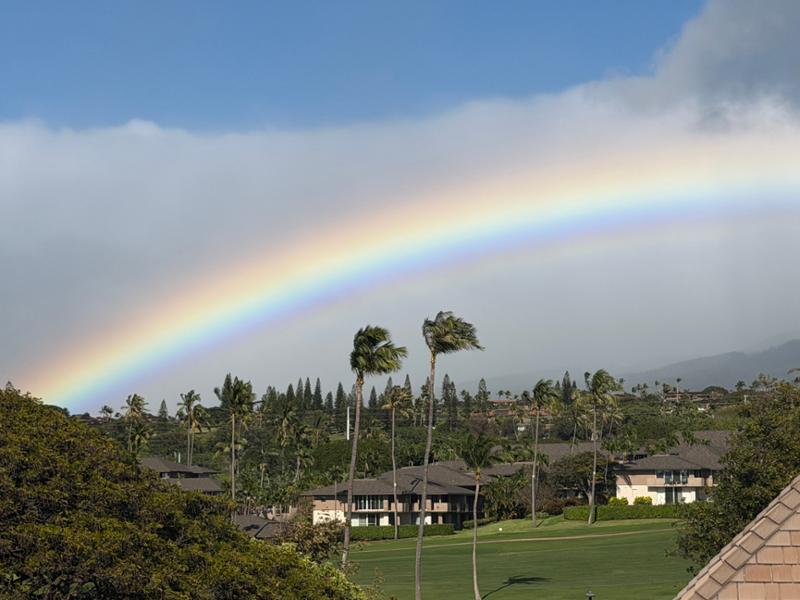 Grand Hawaiian Adventure on 04/16/2026