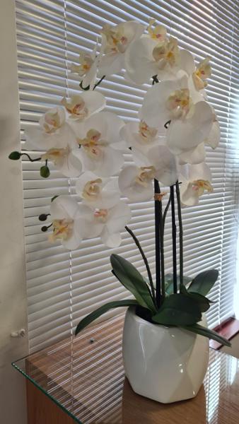 Classic Potted Artificial Orchid | Floralsilk