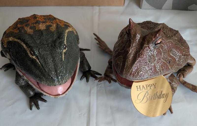 I love Everything Dinosaur! =),