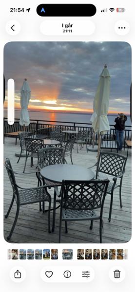 Hotell Gyllene Uttern