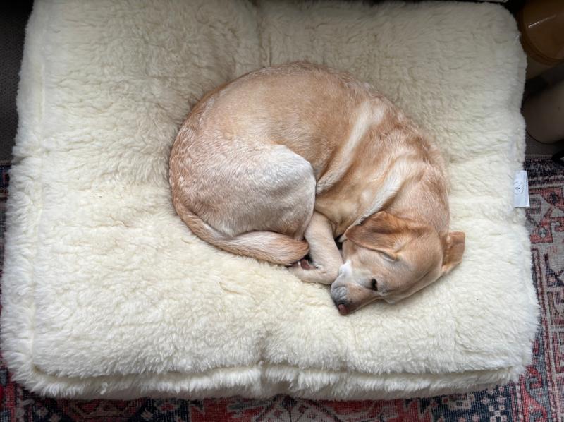 Luxury Wool Fleece Pet Bed-100 x 80cm - Large