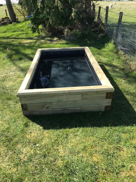 Own design pond