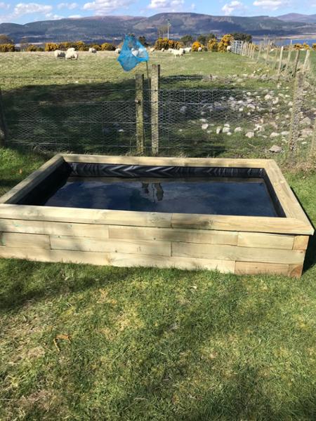 Own design pond