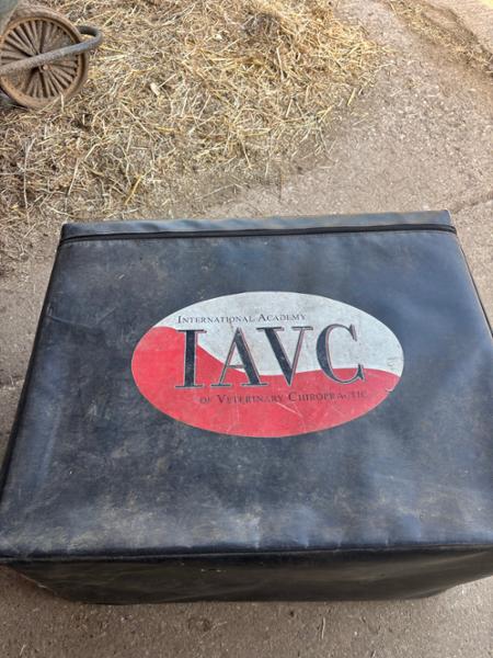 Your horse deserves this product.