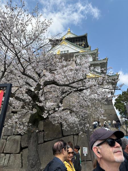 Majestic Japan
