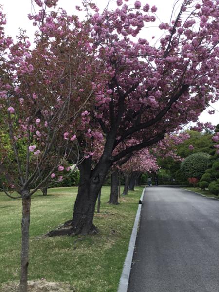 5892-South Korea Discovery