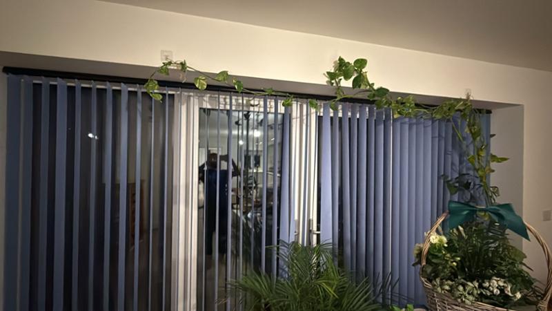 High Quality blinds with cheap price