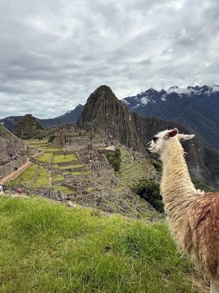 Peruvian Highlights with Inca Trail Trek