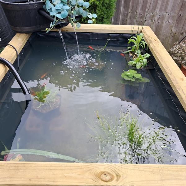 The best wood product for garden builds