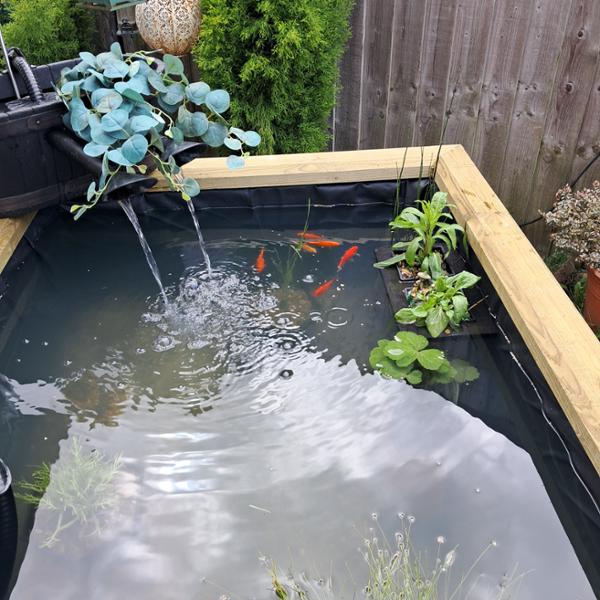 The best wood product for garden builds