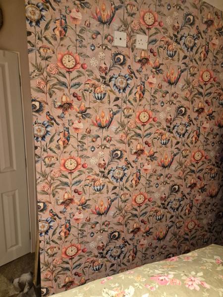 Curious Creatures Wallpaper Blush Pink World Of Wallpaper 50471