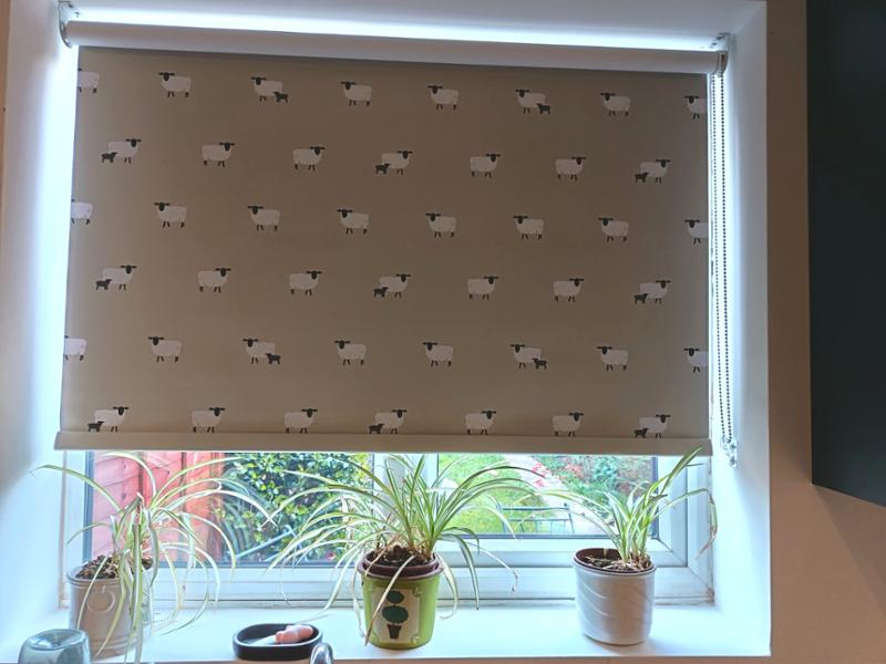 Ideal sheepy blind