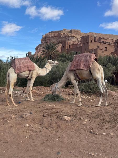 Do not hesitate to do this tour - Morocco is beautiful