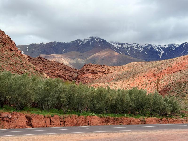 Do not hesitate to do this tour - Morocco is beautiful