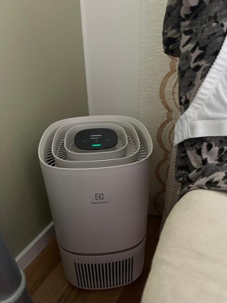 Electrolux Pure 500 Mono luftrenare (skalvit)