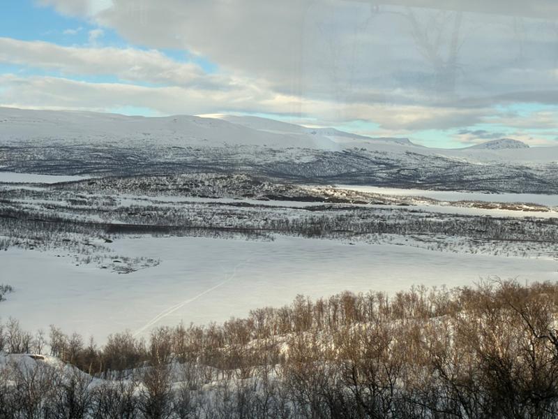 Your tour in Tromso - In Search of the Northern Lights